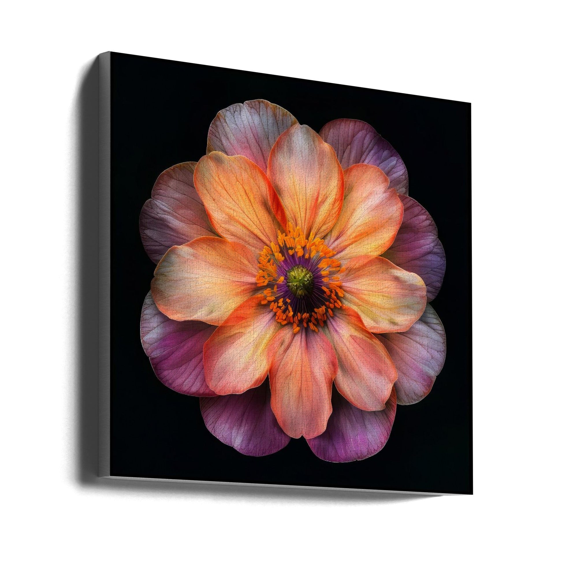 Wall Art Macro Fl On Blk 20 by Bilge Paksoylu-canvas-DECOROLALA