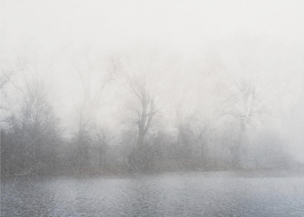 Wall Art Misty Landscape Canvas Print-Canvas Print-DECOROLALA