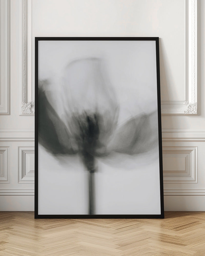 Wall Art Mono Tulip by Magda Izzard-Canvas Print-DECOROLALA