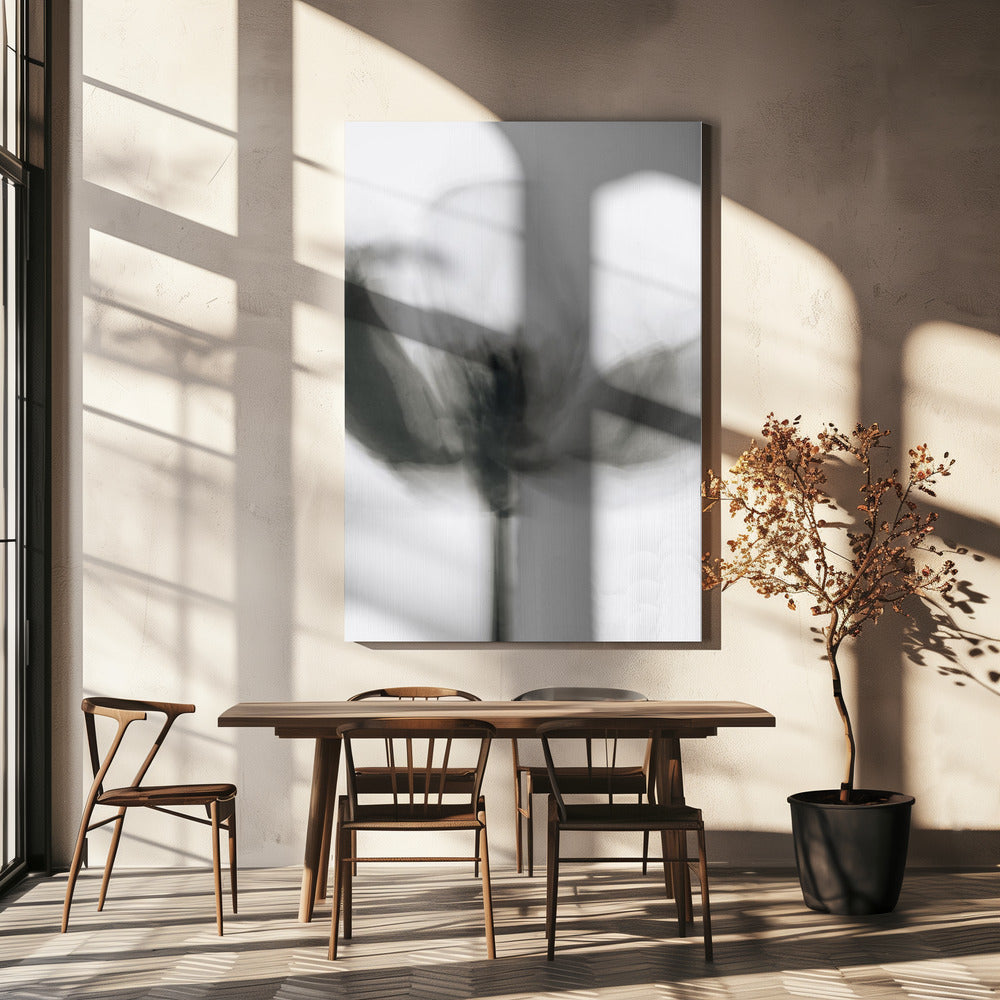 Wall Art Mono Tulip by Magda Izzard-Canvas Print-DECOROLALA