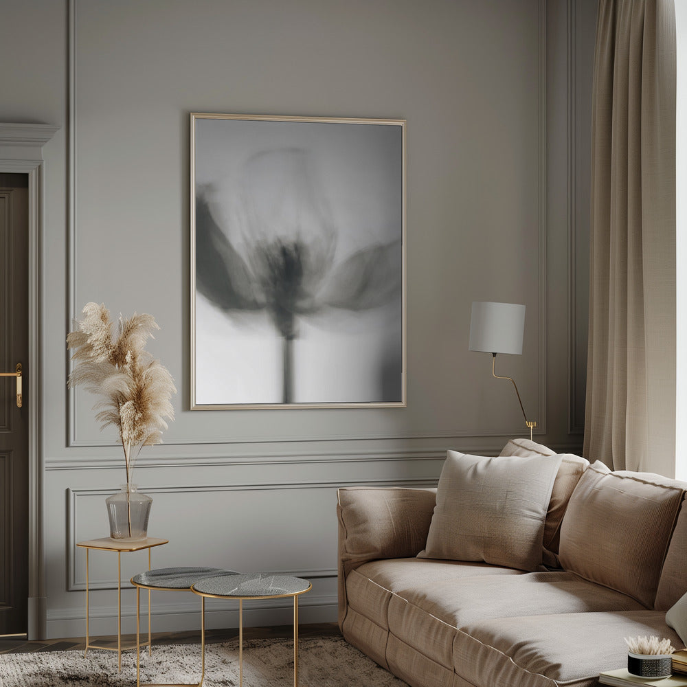 Wall Art Mono Tulip by Magda Izzard-Canvas Print-DECOROLALA