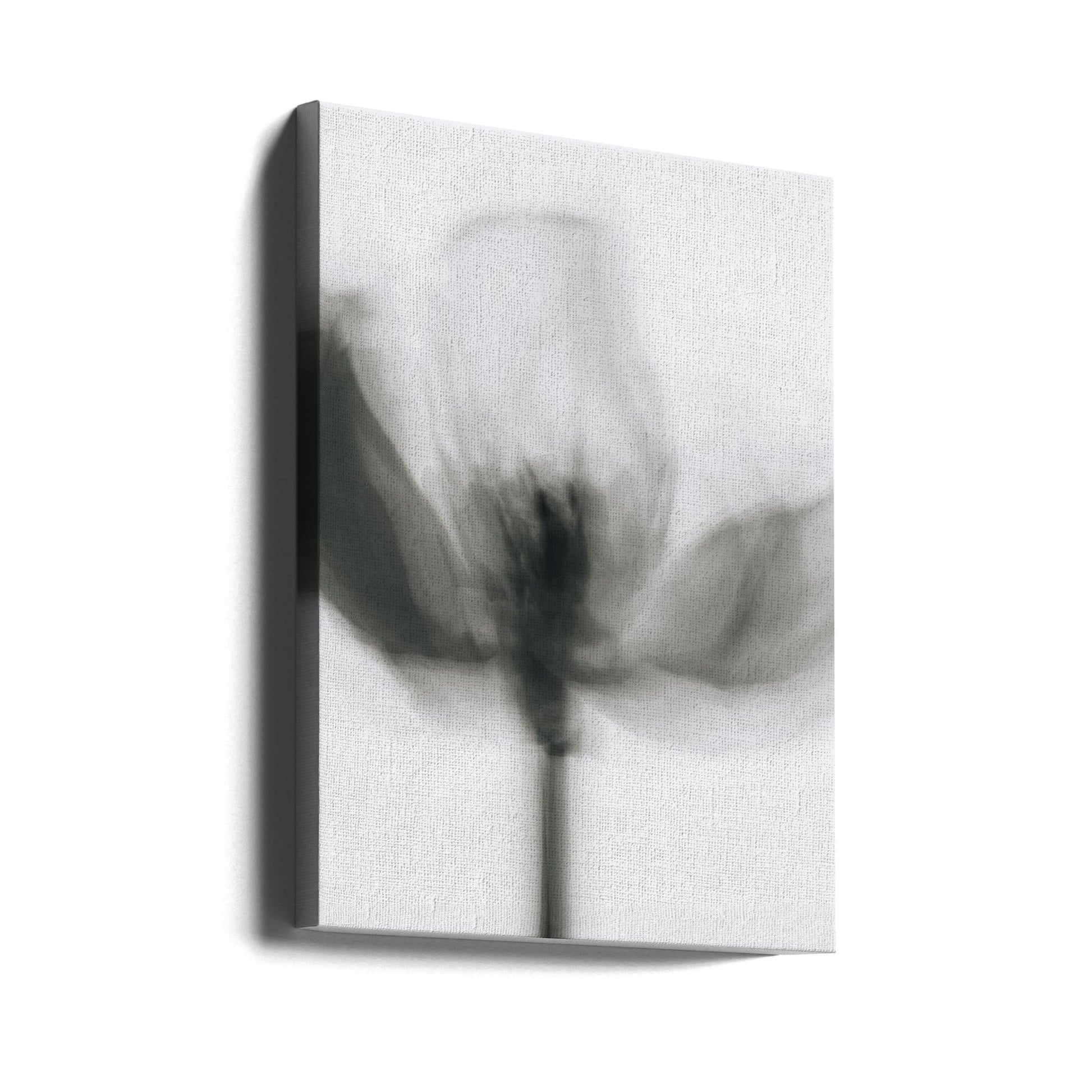 Wall Art Mono Tulip by Magda Izzard-Canvas Print-DECOROLALA