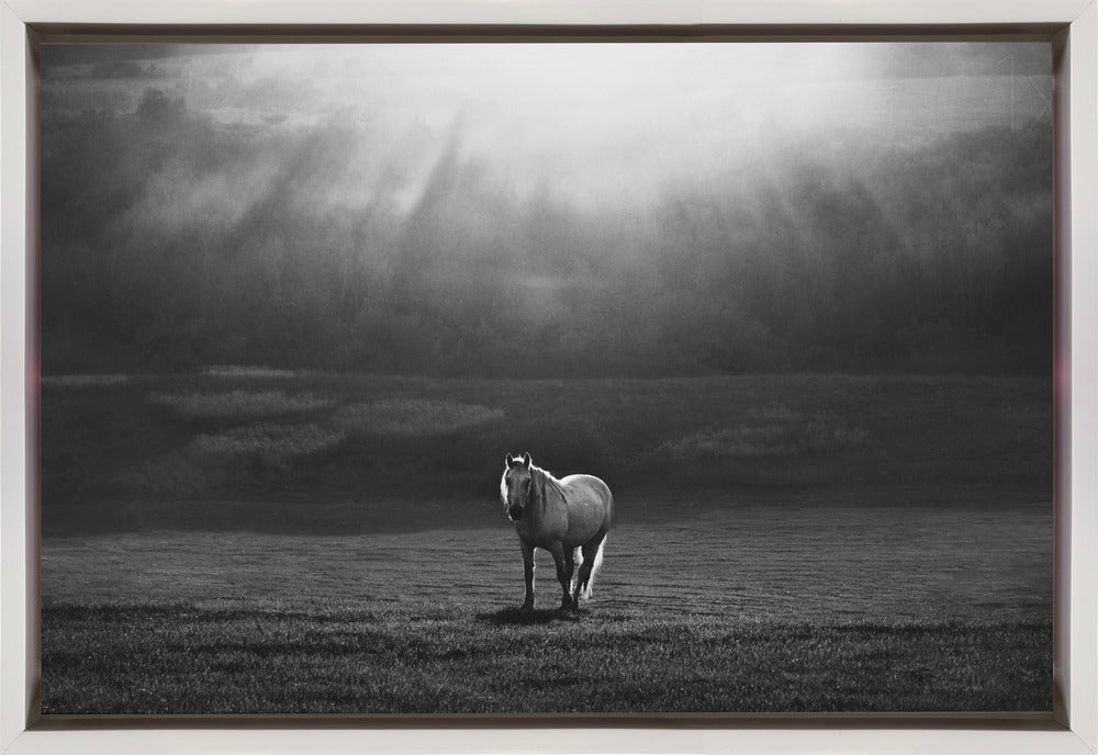 Wall Art "Morning Appearance" by Peter Svoboda-Canvas Print-DECOROLALA