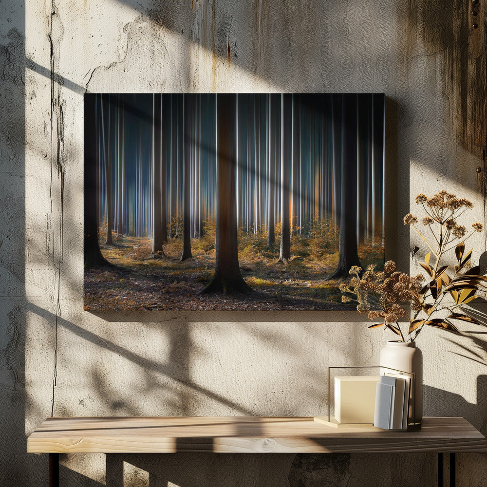 Wall Art Mystic Wood by Carsten Meyerdierks-Canvas Print-DECOROLALA