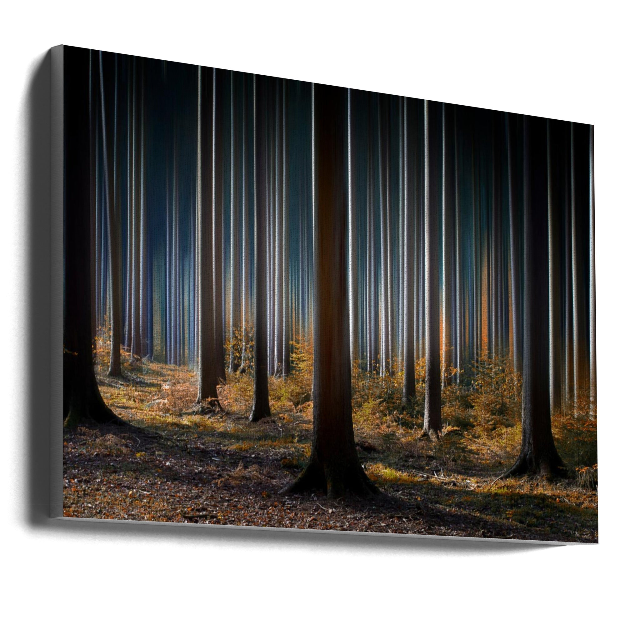 Wall Art Mystic Wood by Carsten Meyerdierks-Canvas Print-DECOROLALA