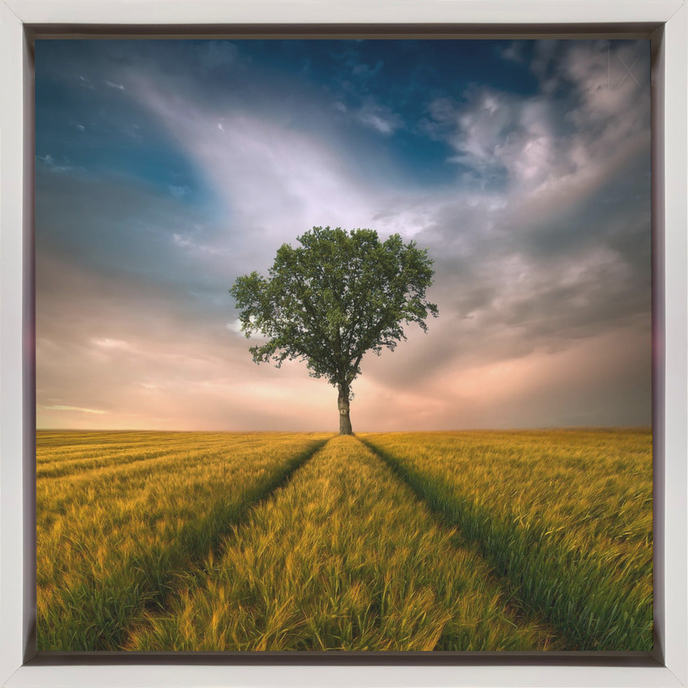 Wall Art One by Piotr Krol-Canvas Print-DECOROLALA