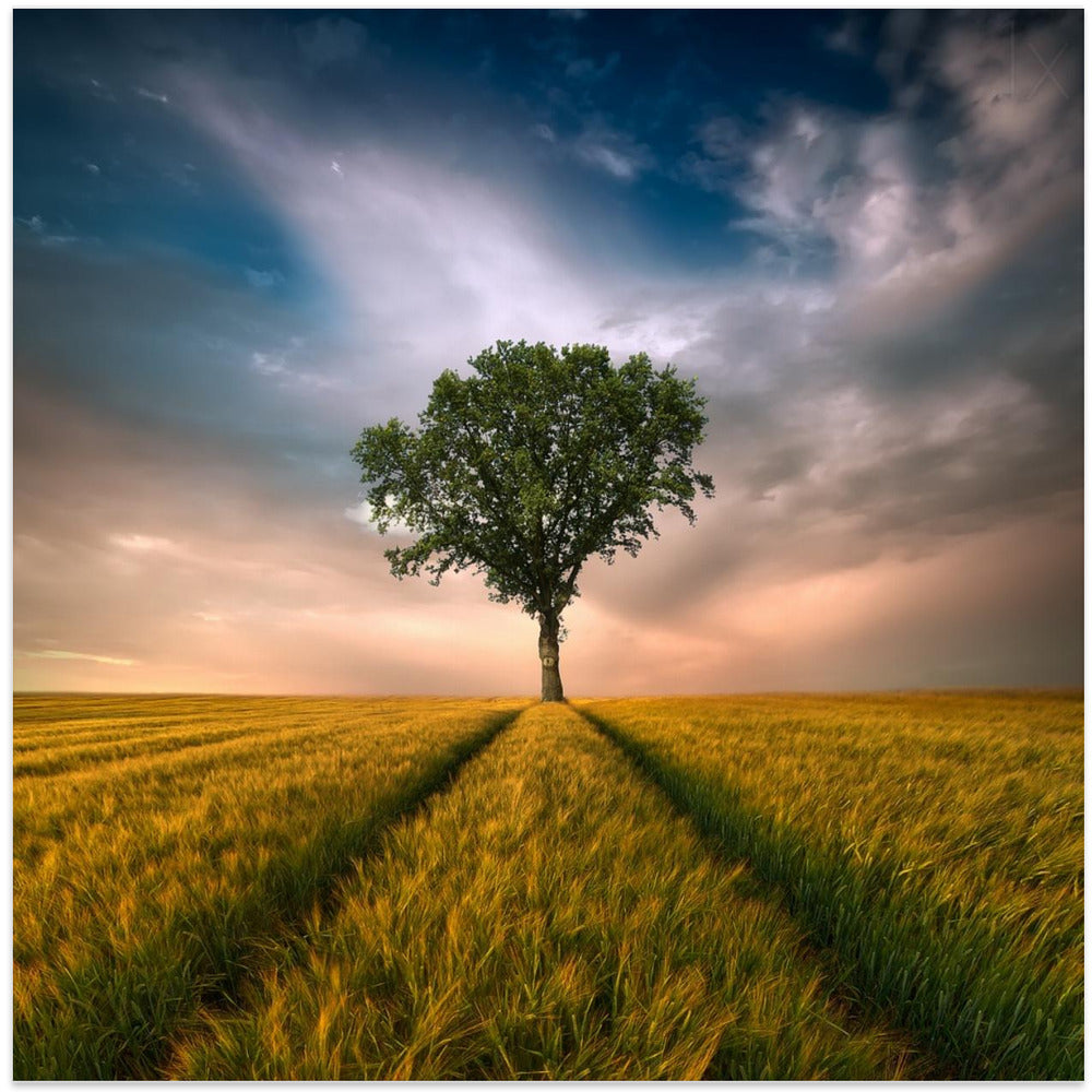 Wall Art One by Piotr Krol-Canvas Print-DECOROLALA