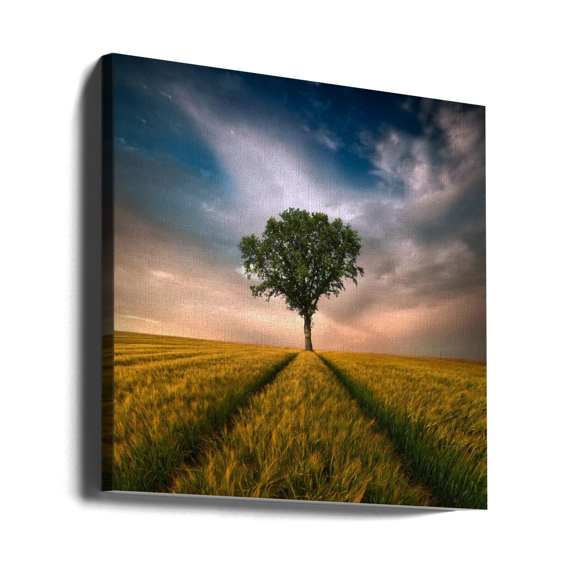 Wall Art One by Piotr Krol-Canvas Print-DECOROLALA