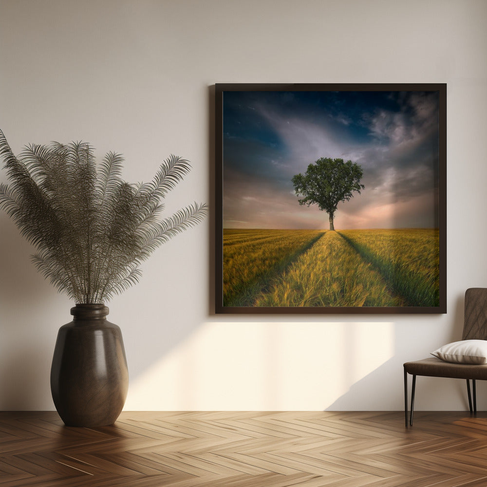 Wall Art One by Piotr Krol-Canvas Print-DECOROLALA
