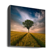 Wall Art One by Piotr Krol-Canvas Print-DECOROLALA