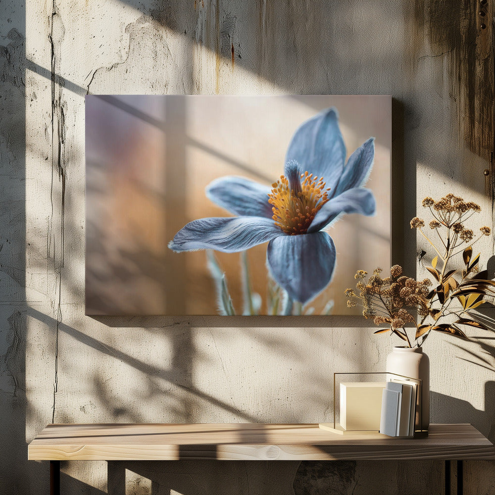 Wall Art Pasque Floral by Mandy Disher-Canvas Print-DECOROLALA