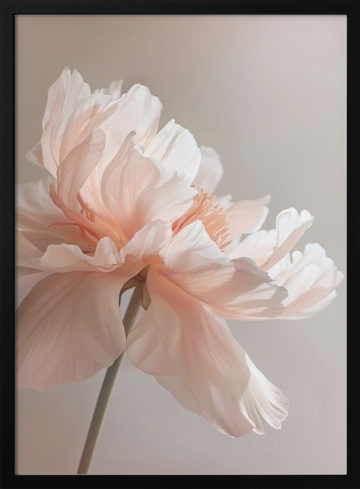 Wall Art Petal Joy 1 by Bilge Paksoylu-canvas-DECOROLALA