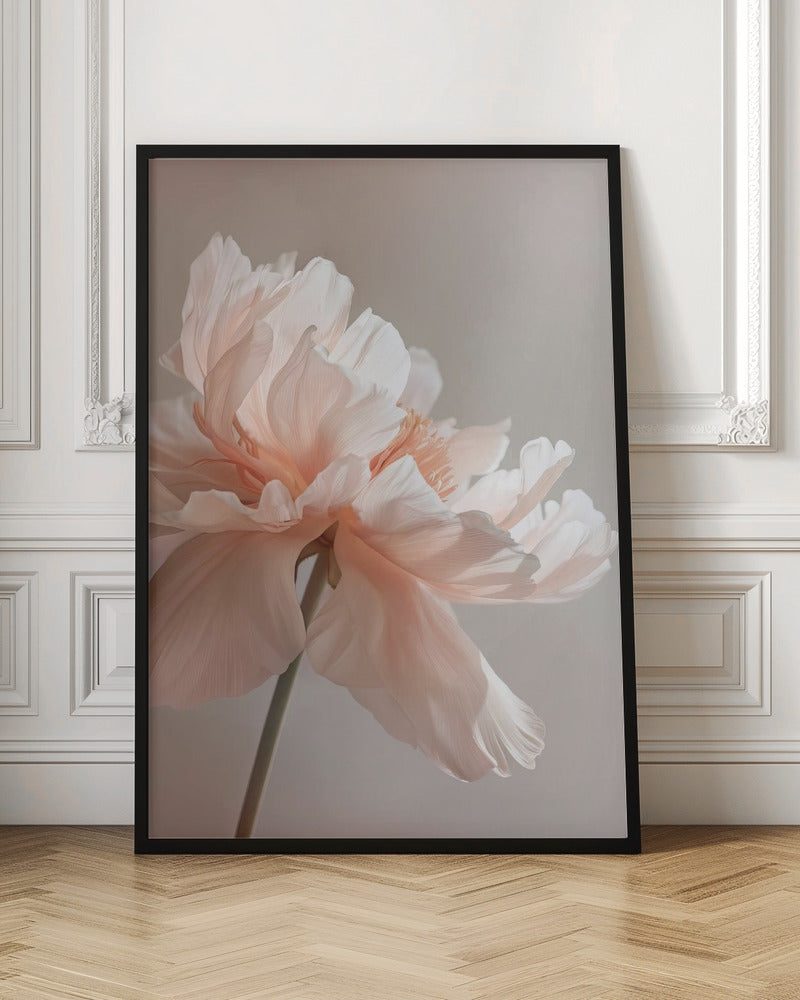 Wall Art Petal Joy 1 by Bilge Paksoylu-canvas-DECOROLALA