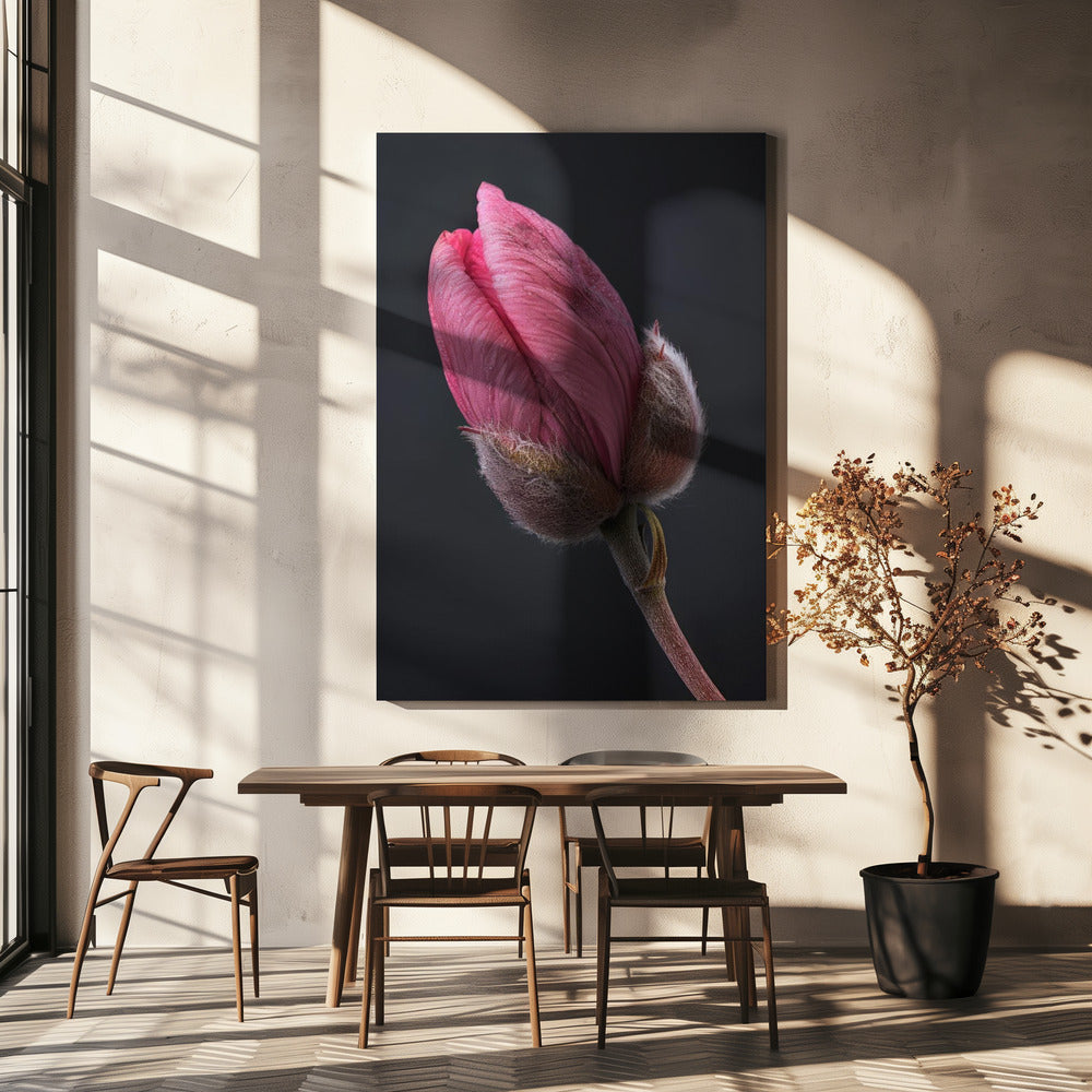 Wall Art Pink Tulip 1 by Bilge Paksoylu-canvas-DECOROLALA