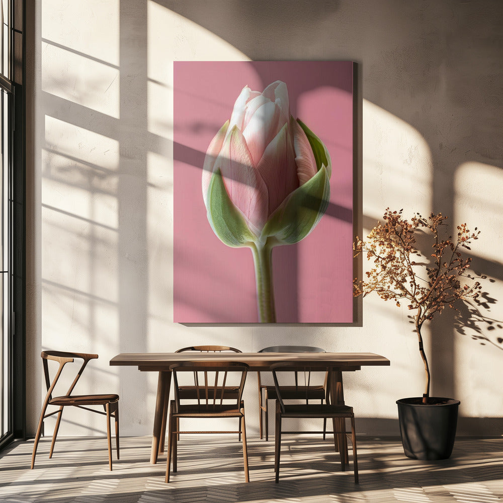 Wall Art Pink Tulip by Bilge Paksoylu-canvas-DECOROLALA