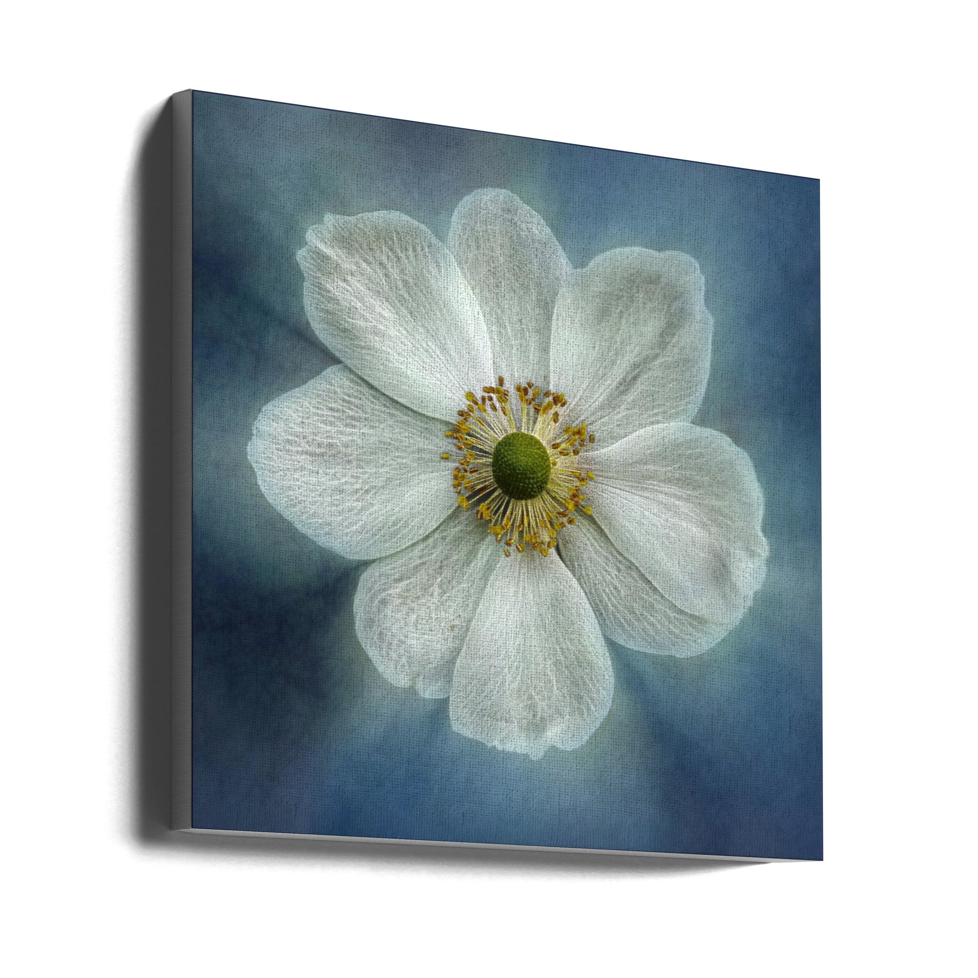 Wall Art Princes Anne-Mone by Gilbert Claes-canvas-DECOROLALA