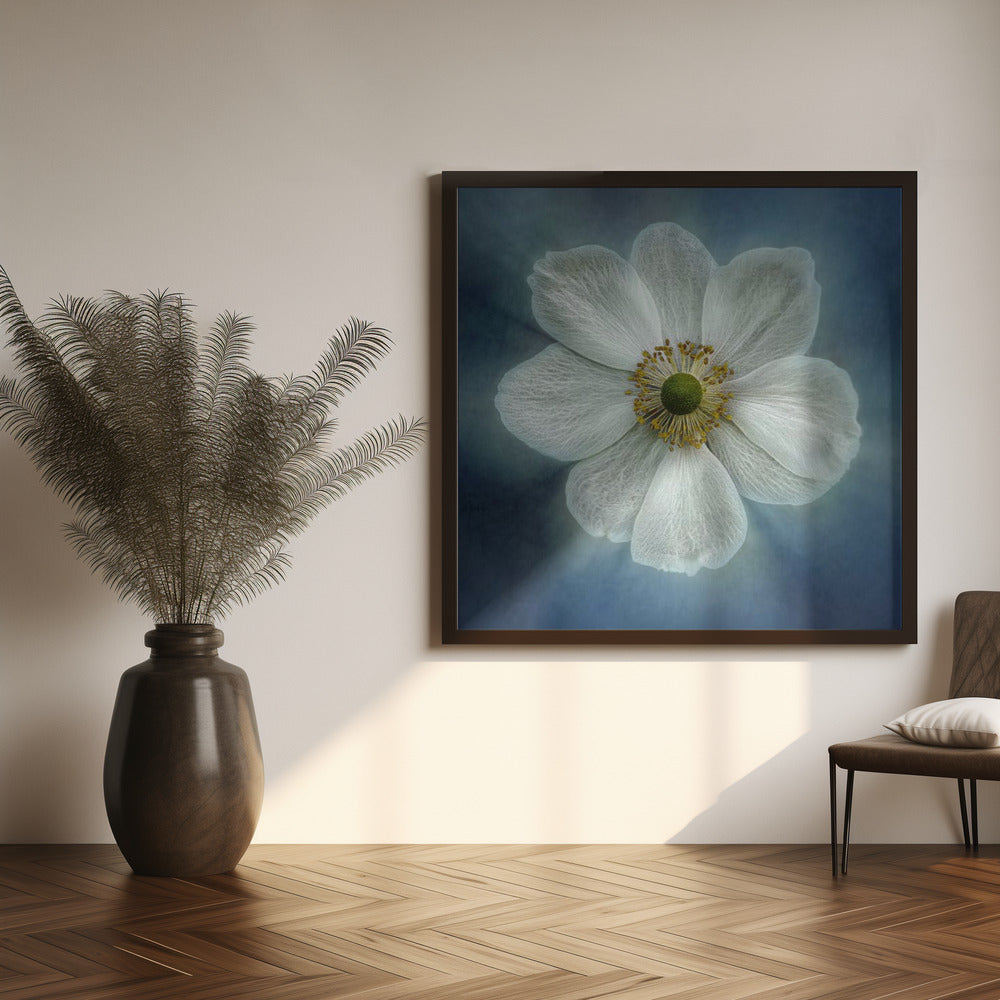 Wall Art Princes Anne-Mone by Gilbert Claes-canvas-DECOROLALA