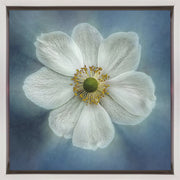 Wall Art Princes Anne-Mone by Gilbert Claes-canvas-DECOROLALA