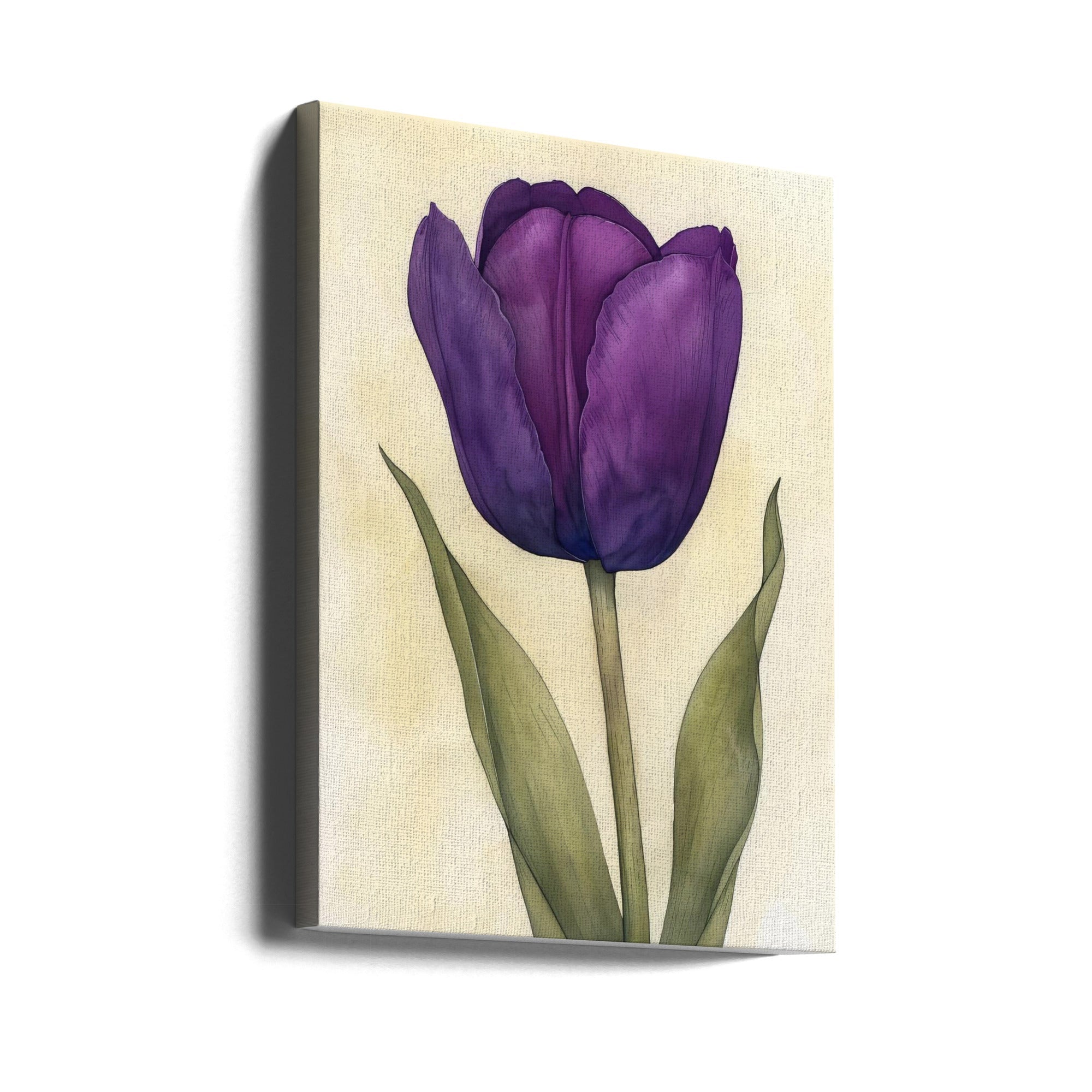 Wall Art Purple Tulip 7 by Bilge Paksoylu-canvas-DECOROLALA