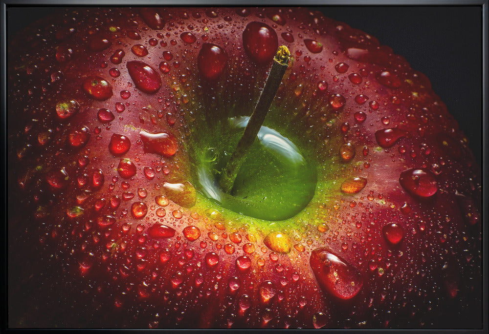 Wall Art Red Apple Canvas Print by Aida Ianeva-Canvas Print-DECOROLALA