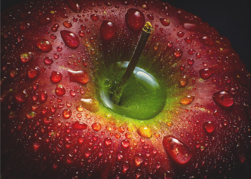 Wall Art Red Apple Canvas Print by Aida Ianeva-Canvas Print-DECOROLALA