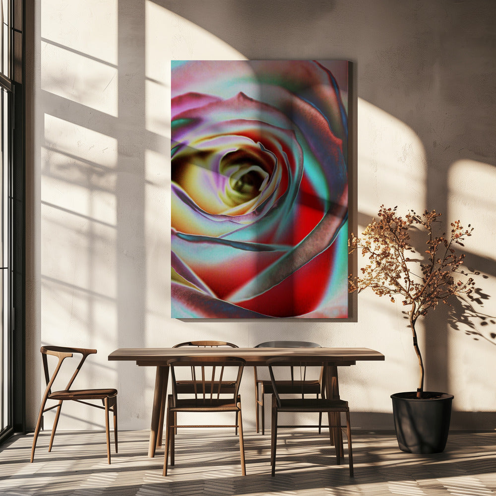 Wall Art Rose by Andre Koenig-canvas-DECOROLALA