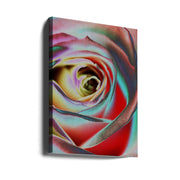 Wall Art Rose by Andre Koenig-canvas-DECOROLALA