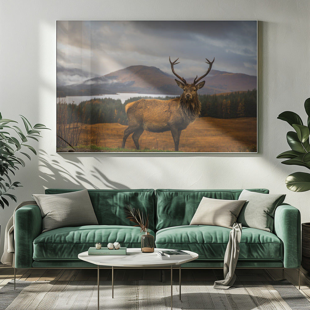 Wall Art Scottish Stag by Adrian Popan-Canvas Print-DECOROLALA