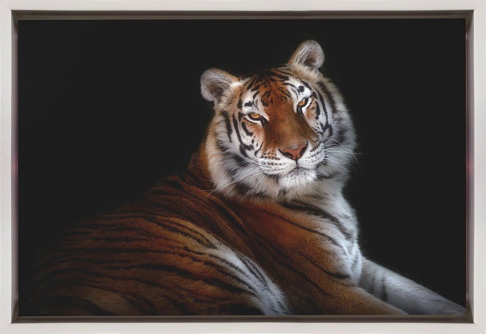 Wall Art Serenity by Santiago Pascual Buye-canvas-DECOROLALA
