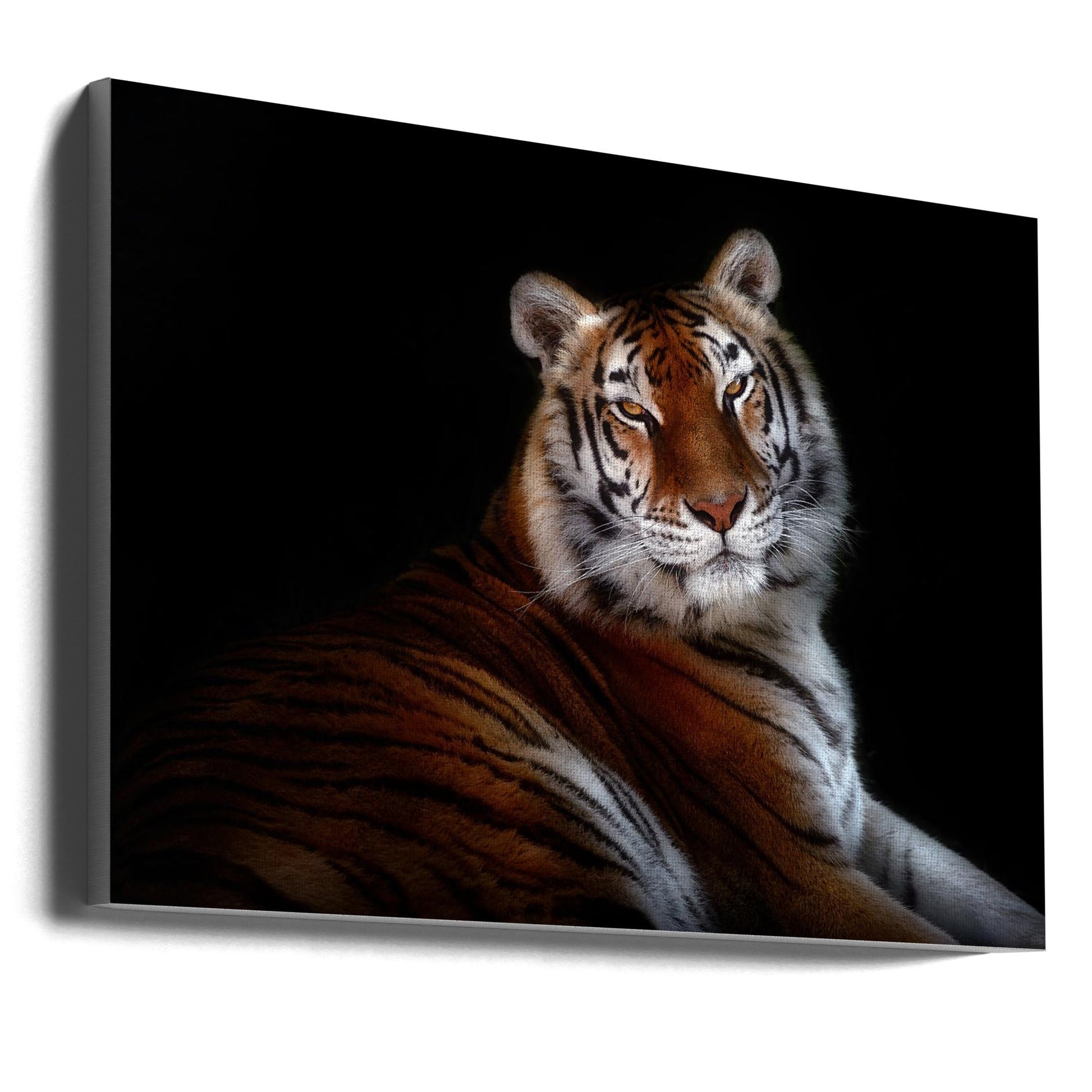 Wall Art Serenity by Santiago Pascual Buye-canvas-DECOROLALA