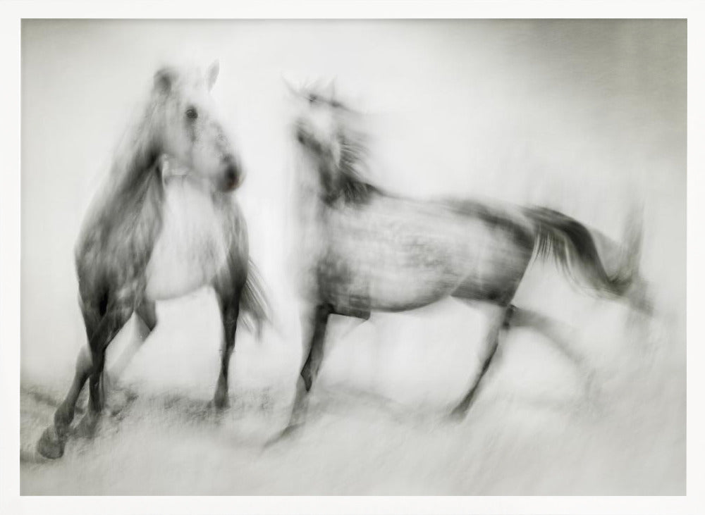 Wall Art Shivers by Martine Benezech-Canvas Print-DECOROLALA