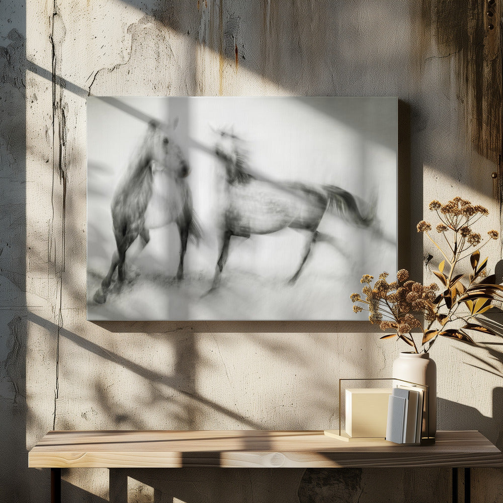 Wall Art Shivers by Martine Benezech-Canvas Print-DECOROLALA