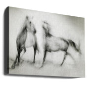 Wall Art Shivers by Martine Benezech-Canvas Print-DECOROLALA
