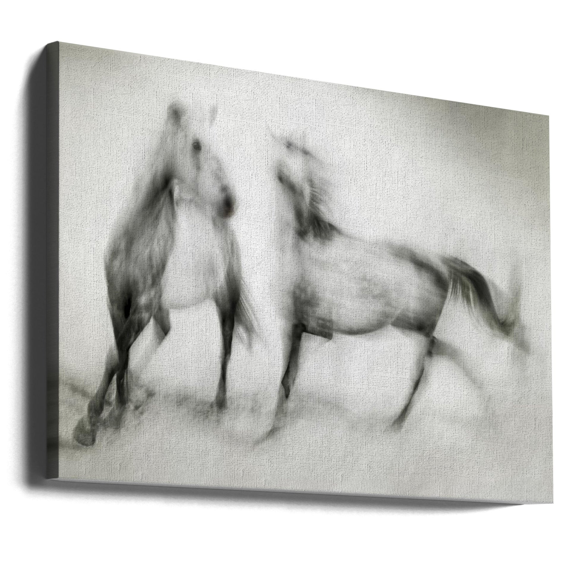 Wall Art Shivers by Martine Benezech-Canvas Print-DECOROLALA