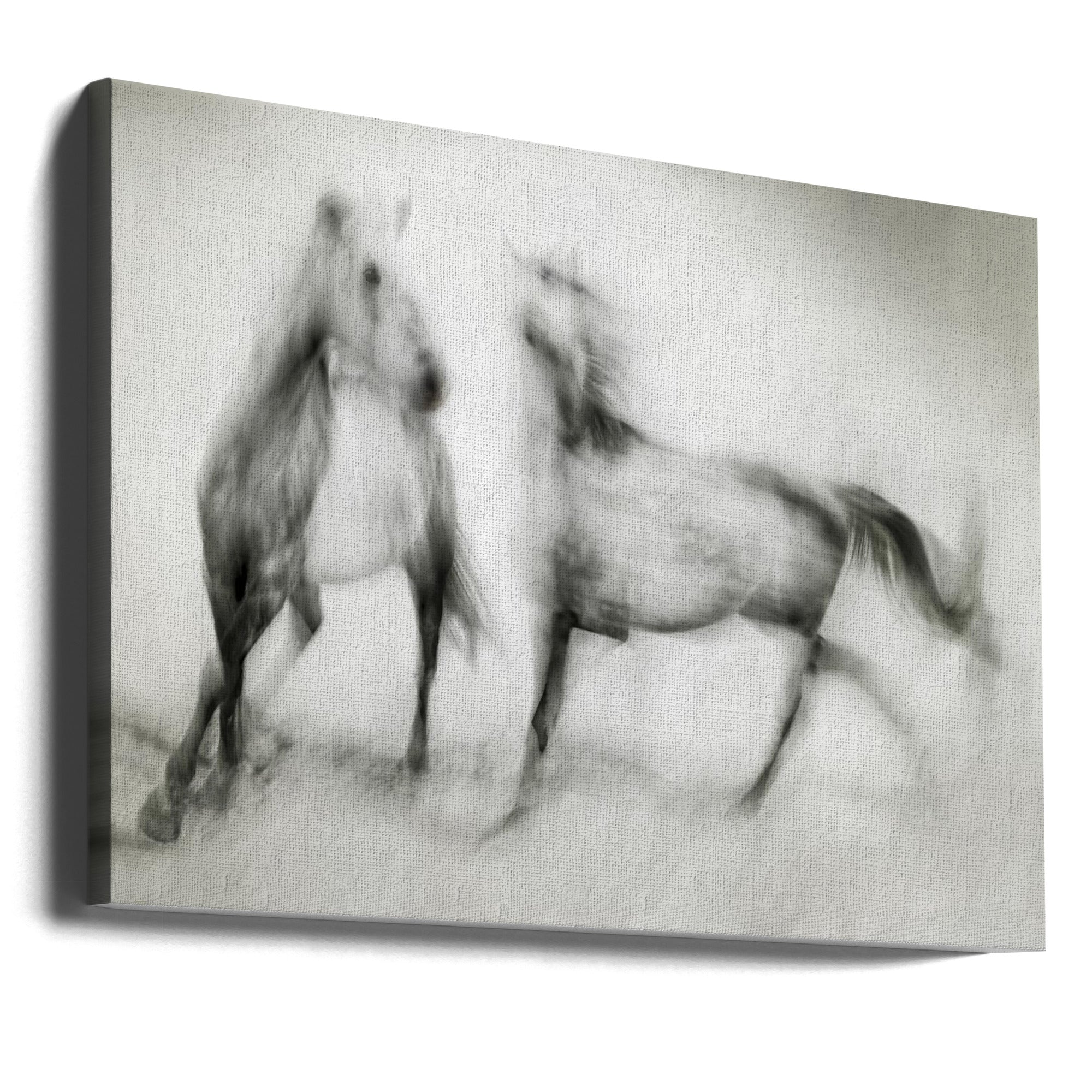 Wall Art Shivers by Martine Benezech-Canvas Print-DECOROLALA