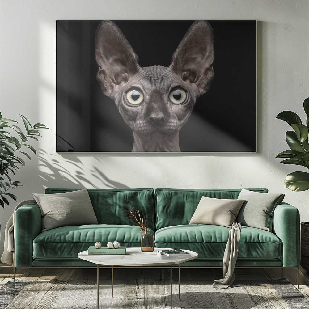 Wall Art Sphynx Cat by Patrick Matte-Canvas Print-DECOROLALA