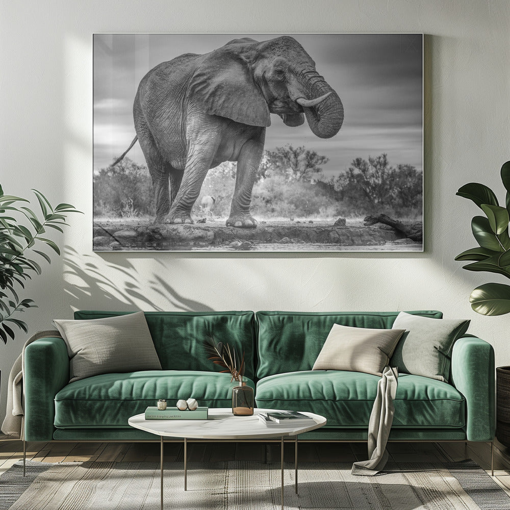 Wall Art Standing Proud Elephant by Jaco Marx-Canvas Print-DECOROLALA
