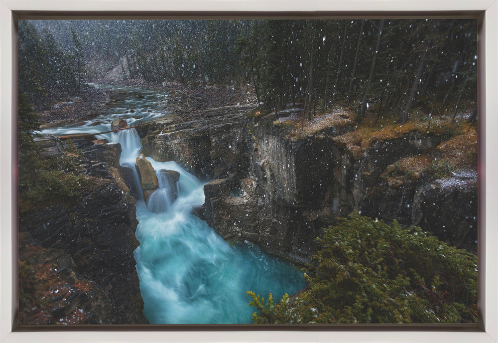 Wall Art Surprise by Jerrywangqian-Canvas Print-DECOROLALA