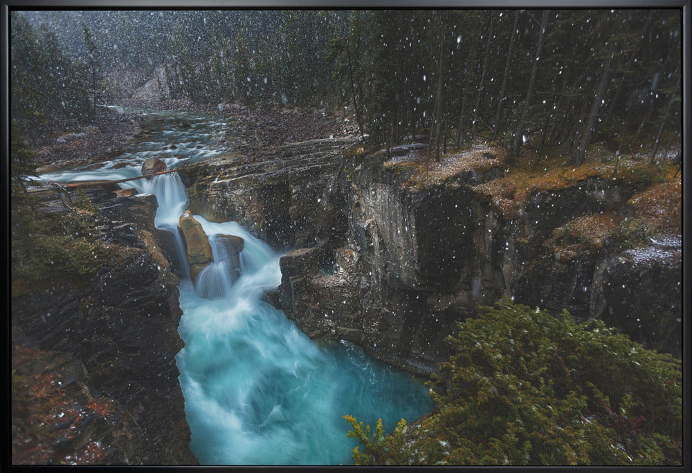 Wall Art Surprise by Jerrywangqian-Canvas Print-DECOROLALA