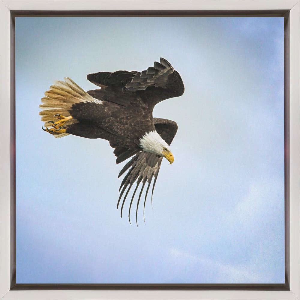 Wall Art Taking Flight by Benton Murphy-Canvas Print-DECOROLALA