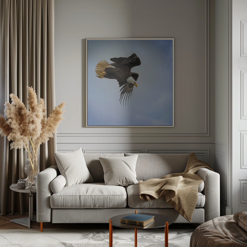 Wall Art Taking Flight by Benton Murphy-Canvas Print-DECOROLALA