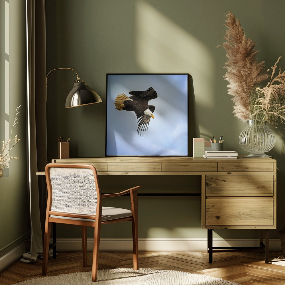 Wall Art Taking Flight by Benton Murphy-Canvas Print-DECOROLALA
