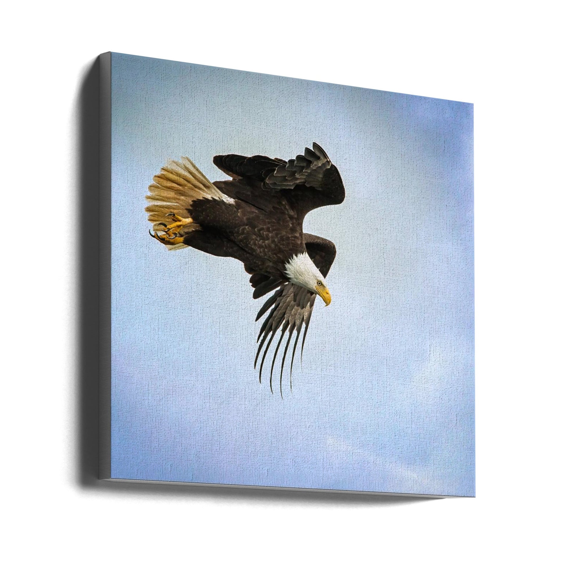 Wall Art Taking Flight by Benton Murphy-Canvas Print-DECOROLALA