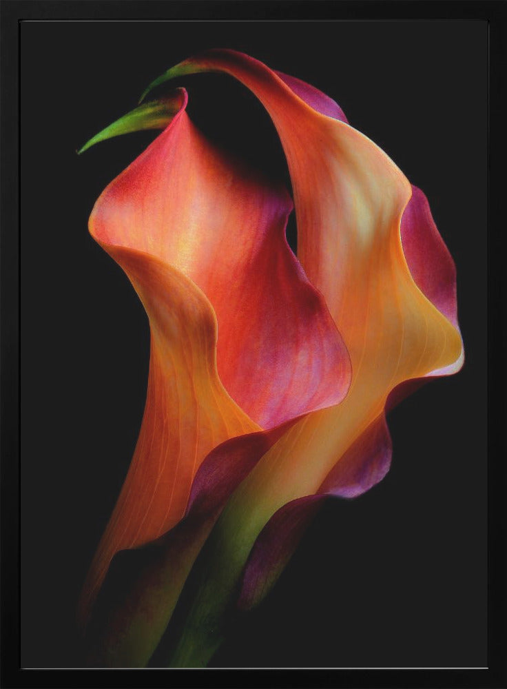 Wall Art Tenderness by Jon Kinney-Canvas Print-DECOROLALA