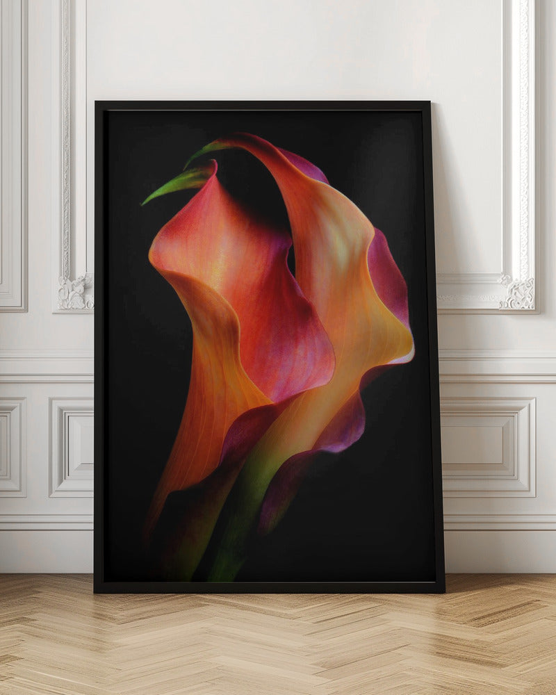 Wall Art Tenderness by Jon Kinney-Canvas Print-DECOROLALA