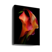 Wall Art Tenderness by Jon Kinney-Canvas Print-DECOROLALA