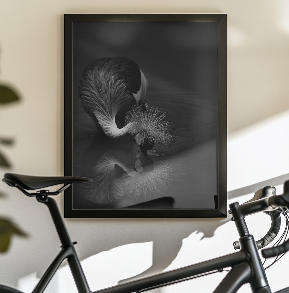 Wall Art The Reflection by C.S. Tjandra-canvas prints-DECOROLALA
