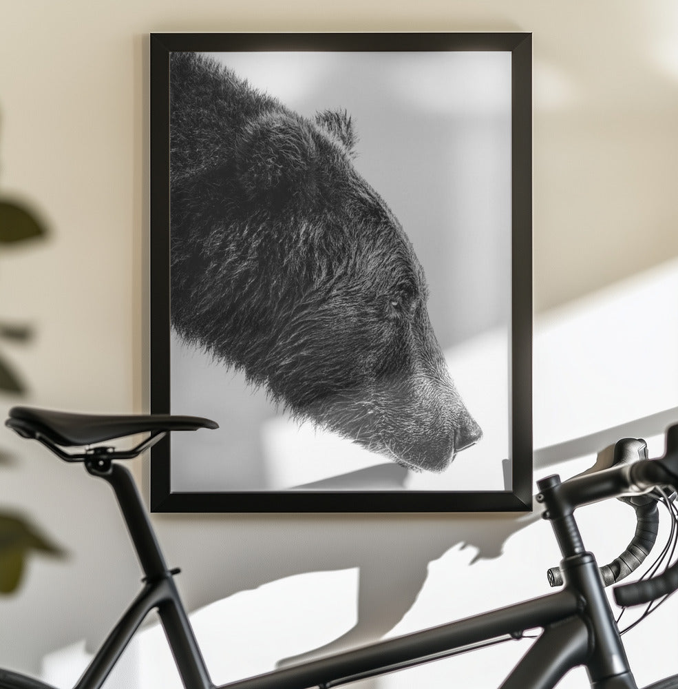 Wall Art The Salmon Catcher by Anchor Lee-canvas prints-DECOROLALA