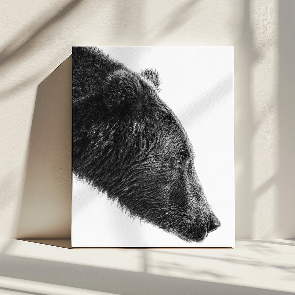 Wall Art The Salmon Catcher by Anchor Lee-canvas prints-DECOROLALA