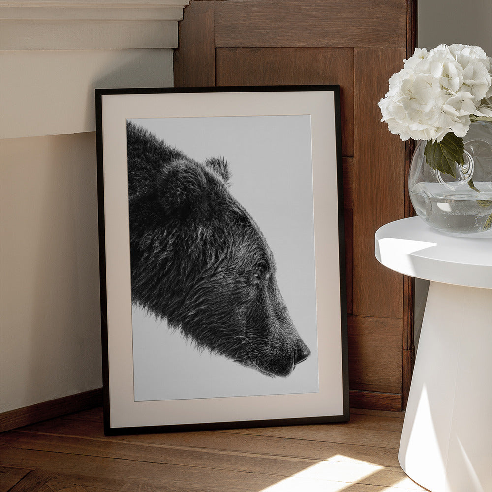 Wall Art The Salmon Catcher by Anchor Lee-canvas prints-DECOROLALA